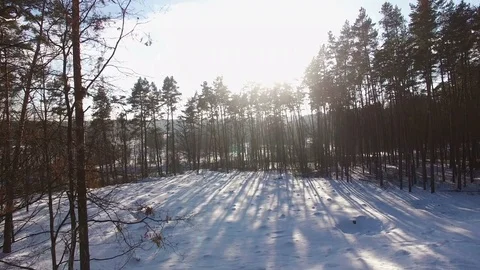 Aerial view of woods, fields and the frozen river in winter Stockbeeldmateriaal 71445167