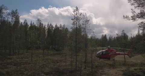Aerial view into the woods moving to working people, Tackasen, Sweden Stock Footage 100032473