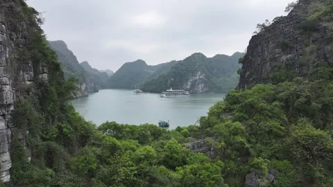 Aerial view of World Heritage Site Halong Bay with cruise boats, Vietnam Stock Footage 285582501