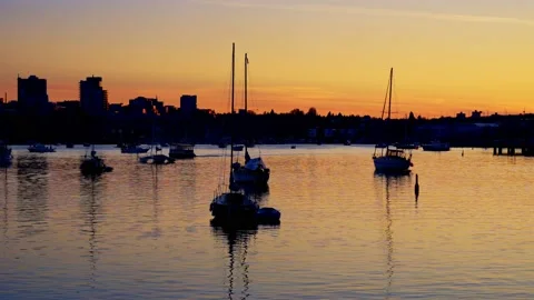 Aerial view of yachts at sunset Stock Footage 152803933