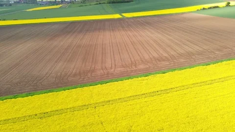 Aerial view of a yellow blooming rape field and a fresh harrowed field Stock Footage 179069615
