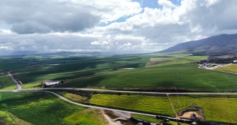 Aerial View of Yellow Canola Fields in Western Cape, South Africa Video stock 344658622