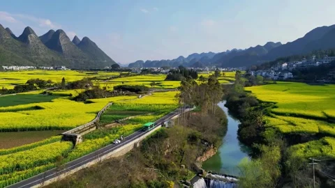Aerial View of Yellow Flower Fields and River in Guilin China Vídeos de archivo 347593455