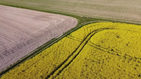 Aerial view on yellow rapeseed fields and black cultivated soil Stock Footage 130666606