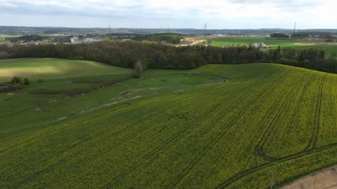Aerial View of Yellow Rapeseed Fields and Green Countryside Landscape in Spring Stock Footage 315520420