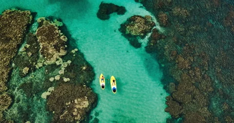 Aerial view young couple stand up paddling in Maui, Hawaii Stock Footage