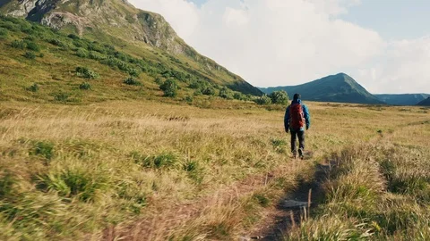 Aerial view: young guy walking on nature Stock Footage 118438412