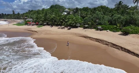 Aerial view of young lady is walking by beautiful tropical beach in Sri Lanka Stock Footage 315380933
