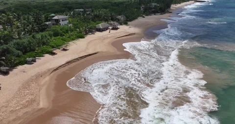 Aerial view of young lady is walking by beautiful tropical beach in Sri Lanka Stock Footage 315380938