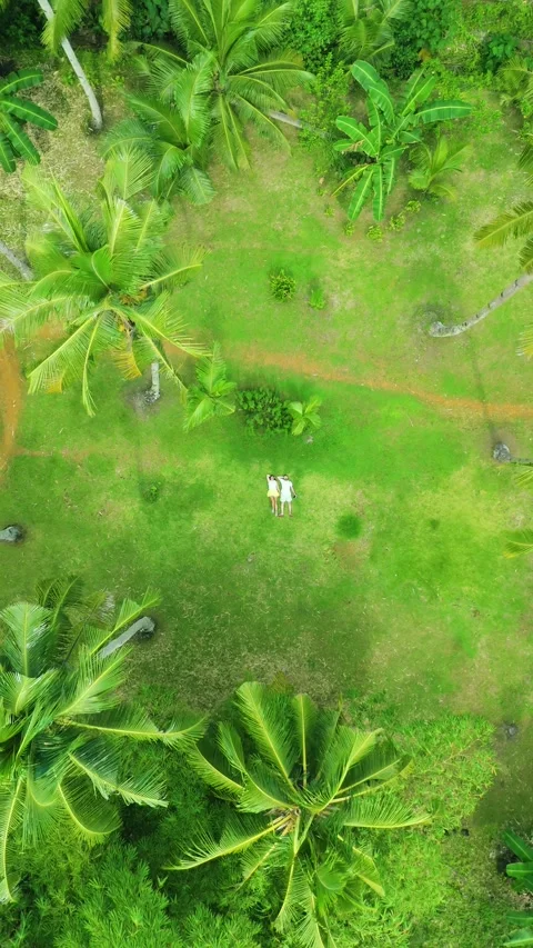 Aerial view of a young man and a young woman relaxing on a patch of green grass Stock Footage 319331799