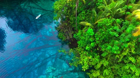 Aerial view of a young man paddleboarding on clear blue water with submerged Stock Footage 345737853