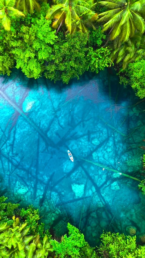 Aerial view of young men and women paddling a boat and swimming in clear water Stock Footage 346361263