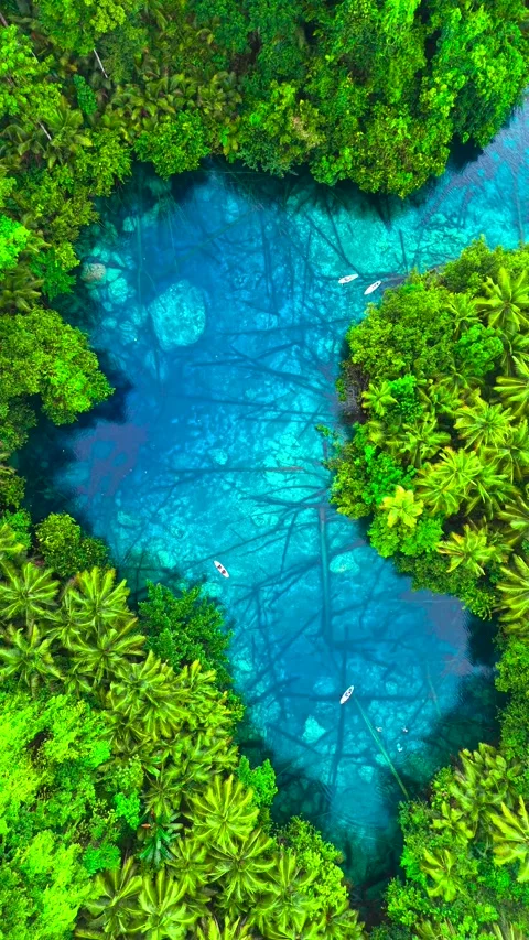 Aerial view of young men and women in small boats navigating a clear blue lake Stock Footage 346361646