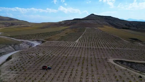 Aerial View of Young Vineyard and Rural Landscape 库存影片 333209968
