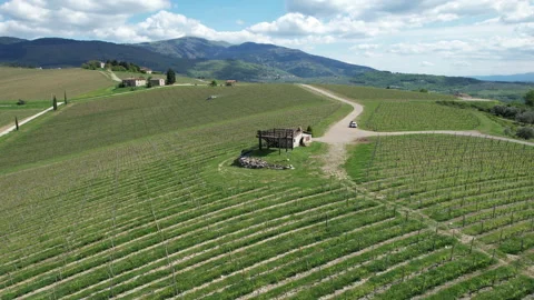 Aerial view of young vineyards in spring in the Tuscan countryside Vidéo 333304545