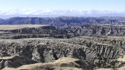 Aerial View of Zanda Earth Forest in Tibet⁠ 動画素材 340549349