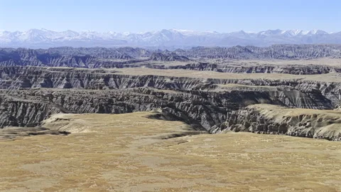 Aerial View of Zanda Earth Forest in Tibet⁠ Vídeo Stock 340549463