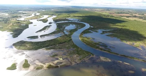 Aerial View.4К Flight Over Swamps and river Stock Footage