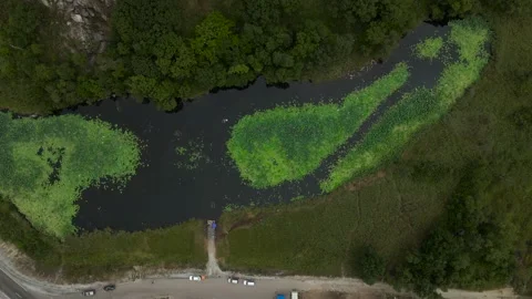 Aerial view(camera down) of Nenuphar on Lake next to Rock Mountains, Highway Stock Footage 163099547