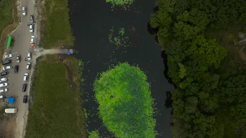 Aerial view(camera down) of Nenuphar on Lake next to Rock Mountains, Highway Stock Footage 163099745