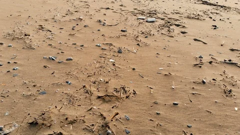 Aerial view,fly above Plastic pollution on sea coast after a storm, planet save Stock Footage 120936522