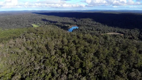 Aerial viewpoint over native Australian forests Stock Footage 131903842