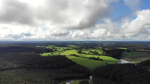 Aerial viewpoint over a pine and vineyard plantation, Australia Stock Footage 131903832