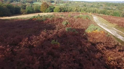 Aerial views of Ashdown Forest Video stock 68944517
