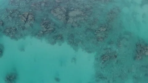 Aerial views from the beach and reef of Cabo Pulmo, Mexico. 库存影片 79614328