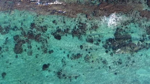 Aerial views from the beach and reef of Cabo Pulmo, Mexico. Stockbeeldmateriaal 79641320