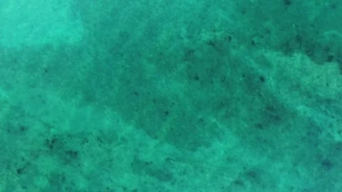 Aerial views from the beach and reef of Cabo Pulmo, Mexico. Stock Footage 79642165