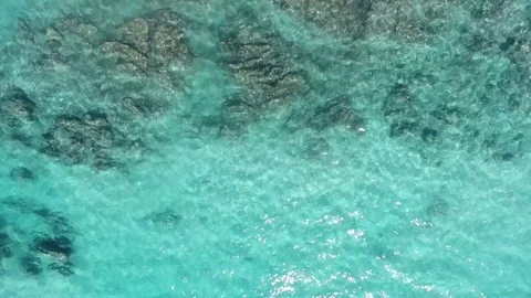 Aerial views from the beach and reef of Cabo Pulmo, Mexico. 库存影片 79818484
