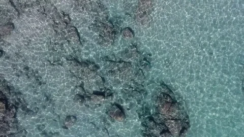 Aerial views from the beach and reef of Cabo Pulmo, Mexico. Stock Footage 79824489
