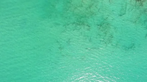 Aerial views from the beach and reef of Cabo Pulmo, Mexico. Stockbeeldmateriaal 80007404