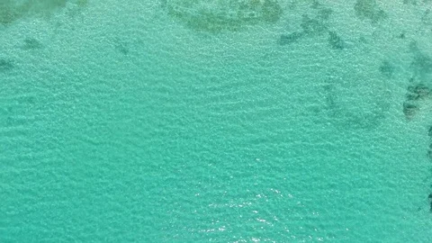 Aerial views from the beach and reef of Cabo Pulmo, Mexico. Stock Footage 80007624