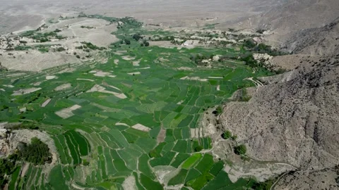 Aerial Views of the Breathtaking Crop Fields Stock Footage 274474284