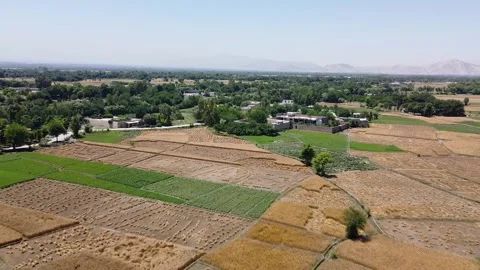 Aerial Views of Cultivated Wheat Fields Stock Footage 274868484