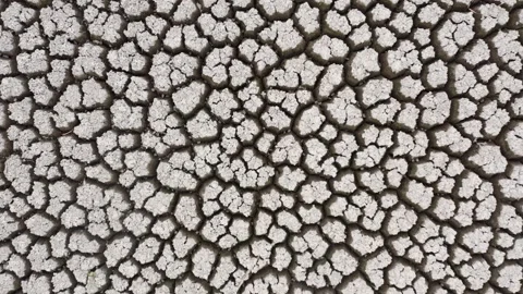 Aerial Views of Dried-up Lakes: Abstract Patterns of Cracked Mud Stock Footage 242580902