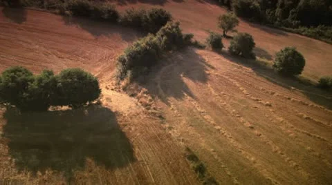 Aerial views of fields Video stock 9052085