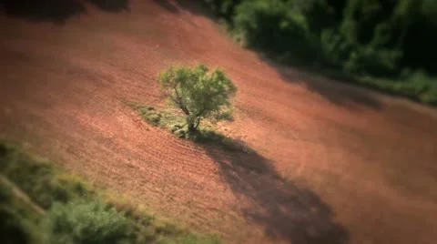 Aerial views of fields Stock Footage 9082090