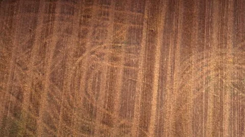 Aerial views of fields Stock Footage 9106534