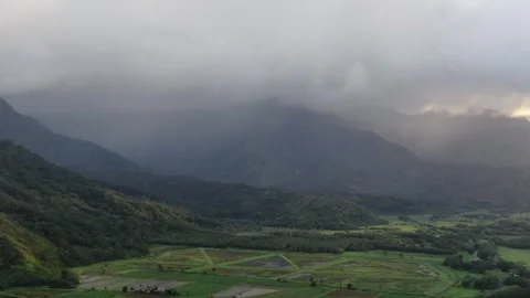 Aerial views from over the Taro Fields outside on Kauai Stock Footage 252046521