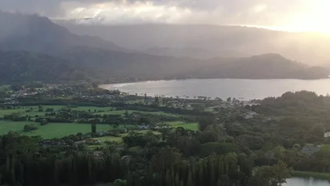 Aerial views from over the Taro Fields outside on Kauai Stock Footage 252046526