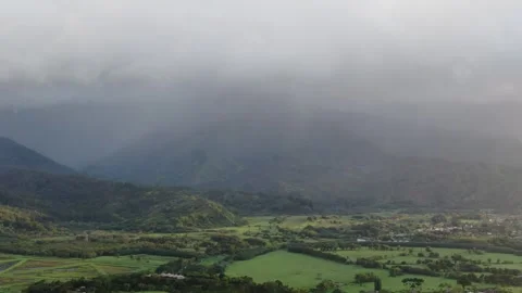 Aerial views from over the Taro Fields outside on Kauai Stock Footage 252046633
