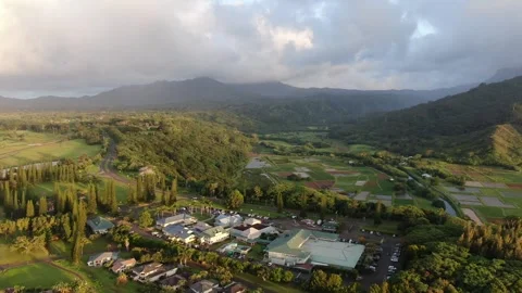 Aerial views from over the Taro Fields outside on Kauai Stock Footage 252046931