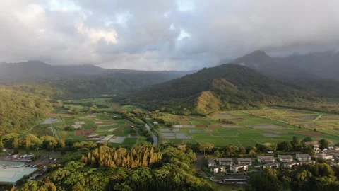 Aerial views from over the Taro Fields outside on Kauai Stock Footage 252057102