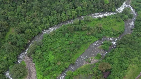 Aerial Views River Flow in the Forest Stock-Footage 258728051