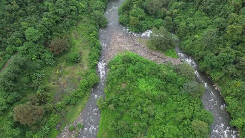 Aerial Views River Flow in the Forest Stock-Footage 258728107