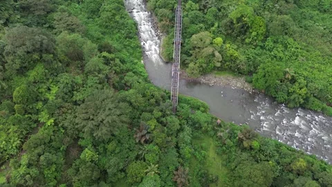 Aerial Views River Flow in the Forest 動画素材 258728967