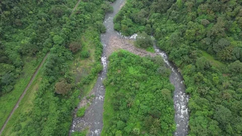 Aerial Views River Flow in the Forest 動画素材 258729526